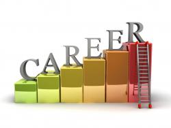 Career Opportunity