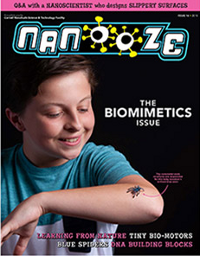 Nanooze Biometrics Cover
