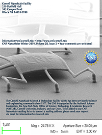 2019 Winter Edition of the CNF NanoMeter, Back Cover