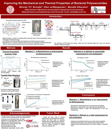 2024 Annual Meeting Poster - Miranda "PJ" Brunette