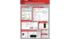 Glycoengineering Mucins to Unravel the Role of the Glycocalyx in Vesicle-Mediated Intercellular Communication in Health and Disease