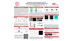 Community-Level Zinc Regulation in E.coli: Insights from Time-Lapse Fluorescence Microscopy