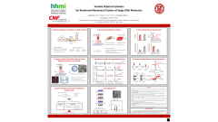 Tunable Elliptical Cylinders for Rotational Mechanical Studies of Single DNA Molecules