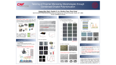 Tailoring of Polymer Microarray Morphologies through Condensed Droplet Polymerization